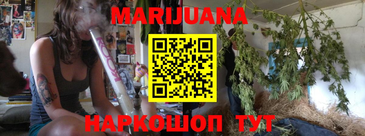 Бошки Шишки планчик Владивосток